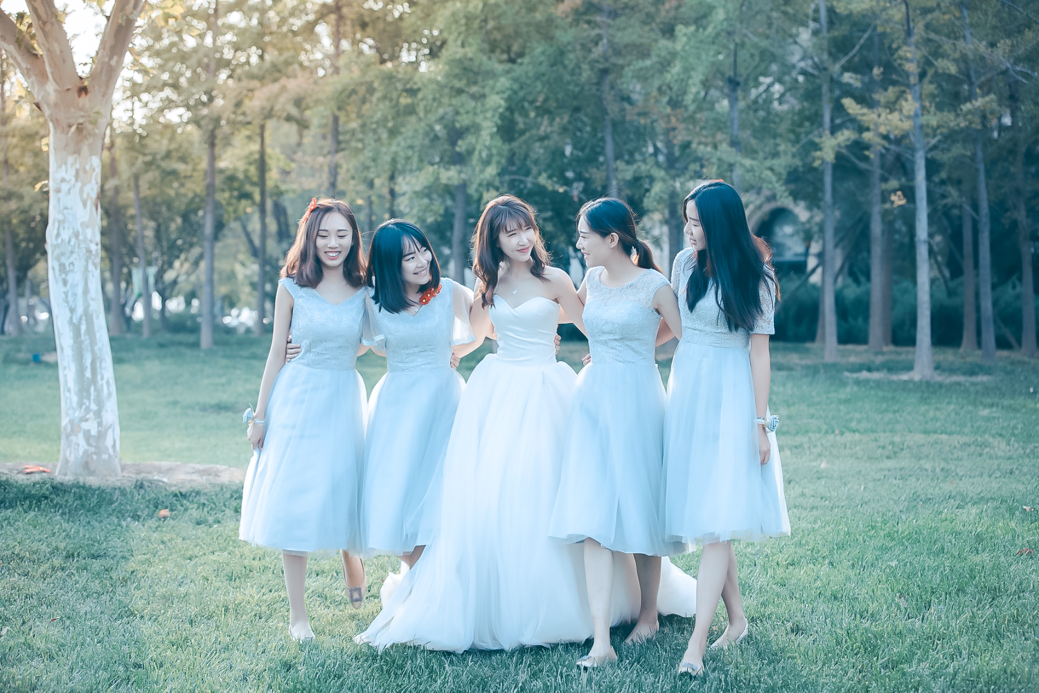 图片, 婚礼, 新娘
